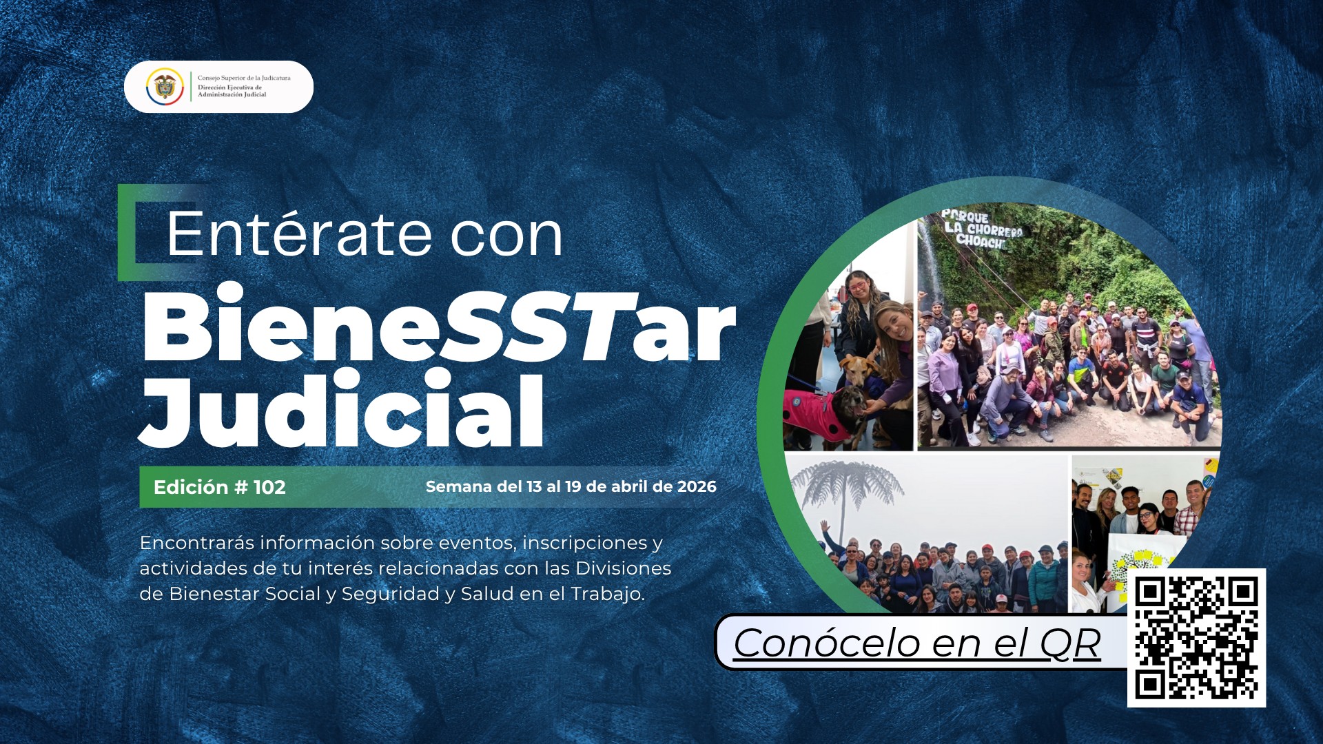 Diseño Canva - Fondo de pantalla